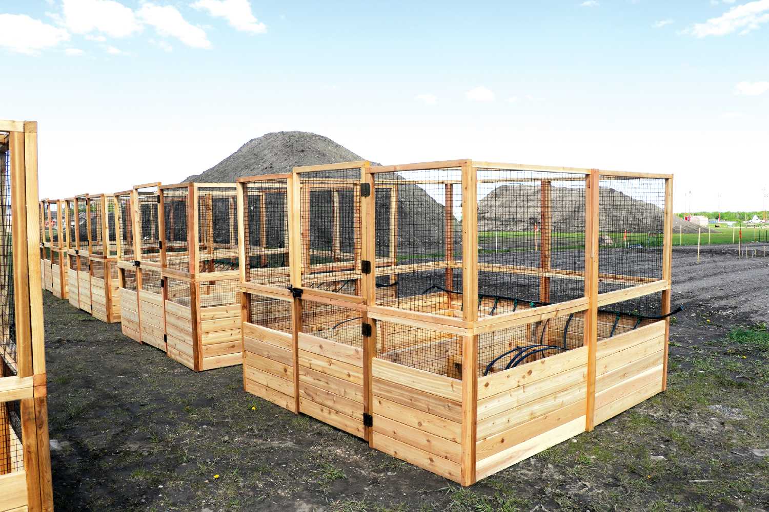 The raised garden boxes at the Moosomin Community Garden.